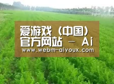 种植基地四