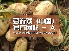 产品展示标题2