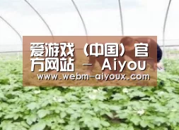 种植基地三