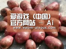 产品展示标题5(图1)