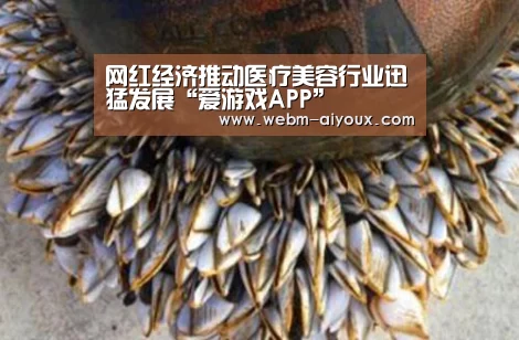 网红经济推动医疗美容行业迅猛发展“爱游戏APP”(图1) 爱游戏入口