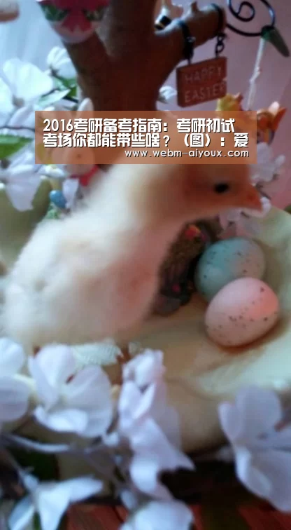 2016考研备考指南:考研初试考场你都能带些啥?(图):爱游戏APP(图4) 爱游戏平台